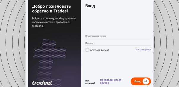 Страница входа Tradeel для доступа к торговому аккаунту